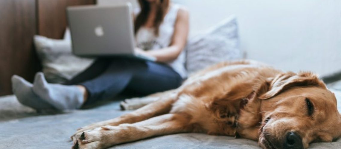 Sicheres Zuhause-Checkliste